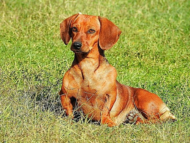 Csodálatos természet 07